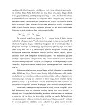 Holograminės apsaugos elementai 13 puslapis