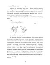 Holograminės apsaugos elementai 15 puslapis