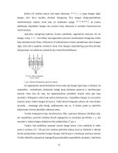 Holograminės apsaugos elementai 16 puslapis