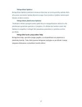 Holograminės apsaugos elementai 18 puslapis