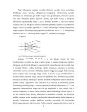 Holograminės apsaugos elementai 9 puslapis