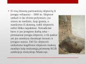 Partizanai. Antanas Kraujelis Siaubūnas 11 puslapis