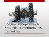 Partizanai. Antanas Kraujelis Siaubūnas 15 puslapis