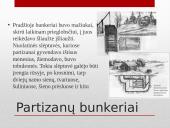 Partizanai. Antanas Kraujelis Siaubūnas 16 puslapis