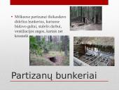 Partizanai. Antanas Kraujelis Siaubūnas 17 puslapis