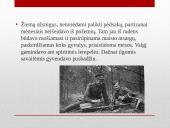 Partizanai. Antanas Kraujelis Siaubūnas 19 puslapis