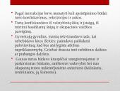 Partizanai. Antanas Kraujelis Siaubūnas 20 puslapis