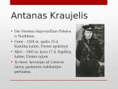 Partizanai. Antanas Kraujelis Siaubūnas 3 puslapis