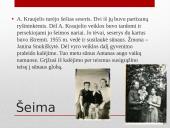 Partizanai. Antanas Kraujelis Siaubūnas 4 puslapis