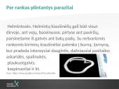 Rankų higiena (skaidrės) 12 puslapis