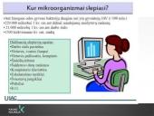 Rankų higiena (skaidrės) 13 puslapis