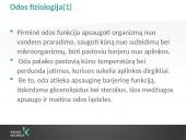 Rankų higiena (skaidrės) 4 puslapis