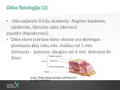 Rankų higiena (skaidrės) 5 puslapis