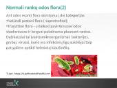 Rankų higiena (skaidrės) 7 puslapis