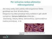 Rankų higiena (skaidrės) 9 puslapis