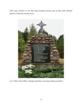 Valkų mūšio analizė 12 puslapis