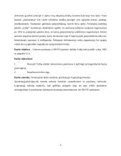 Valkų mūšio analizė 3 puslapis