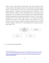 Valkų mūšio analizė 5 puslapis