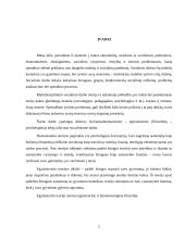 Humanistinės egzistencinės teorijos 2 puslapis