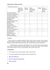 Ideali perdavimo linija 11 puslapis