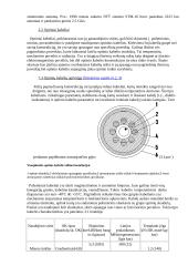 Ideali perdavimo linija 3 puslapis