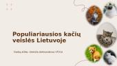 Populiariausios kačių veislės Lietuvoje