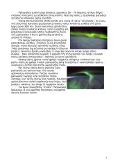 Įdomūs dangaus reiškiniai 5 puslapis