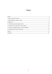 Įėjimo į užsienio rinkas būdai. Eksportas 2 puslapis