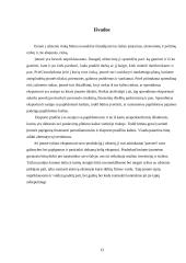 Įėjimo į užsienio rinkas būdai. Eksportas 13 puslapis