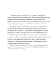 Įėjimo į užsienio rinkas būdai. Eksportas 3 puslapis