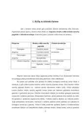 Įėjimo į užsienio rinkas būdai. Eksportas 4 puslapis