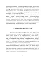 Įėjimo į užsienio rinkas būdai. Eksportas 5 puslapis