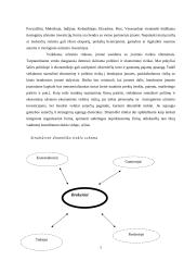 Įėjimo į užsienio rinkas būdai. Eksportas 7 puslapis