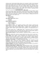 Neurofunkcinės sistemos. Jutimo organai, organa sensuum 2 puslapis