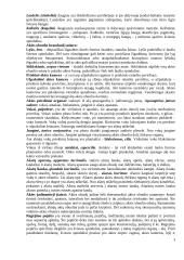 Neurofunkcinės sistemos. Jutimo organai, organa sensuum 3 puslapis