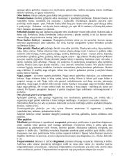 Neurofunkcinės sistemos. Jutimo organai, organa sensuum 7 puslapis