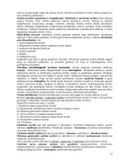 Patologija. Organizmo mirtis 13 puslapis