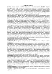 Limfinė sistema (konspektas) 1 puslapis
