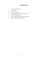 Ignalinos atominė elektrinė (IAE) 14 puslapis