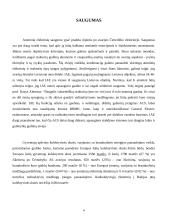 Ignalinos atominė elektrinė (IAE) 4 puslapis