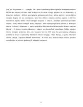 Ignalinos atominė elektrinė (IAE) 9 puslapis