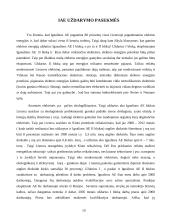 Ignalinos atominė elektrinė (IAE) 10 puslapis