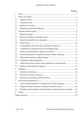 Ignalinos atominė elektrinė, elektrinės sauga bei reaktorius 2 puslapis