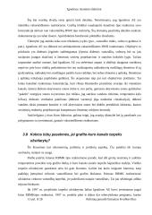 Ignalinos atominė elektrinė, elektrinės sauga bei reaktorius 13 puslapis