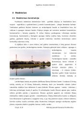 Ignalinos atominė elektrinė, elektrinės sauga bei reaktorius 18 puslapis