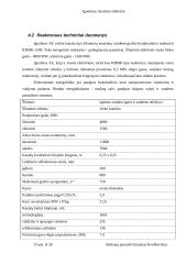 Ignalinos atominė elektrinė, elektrinės sauga bei reaktorius 19 puslapis