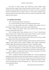 Ignalinos atominė elektrinė, elektrinės sauga bei reaktorius 6 puslapis