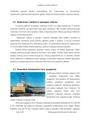 Ignalinos atominė elektrinė, elektrinės sauga bei reaktorius 9 puslapis