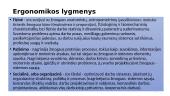 Ergonomikos samprata. Raida 10 puslapis