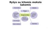 Ergonomikos samprata. Raida 12 puslapis